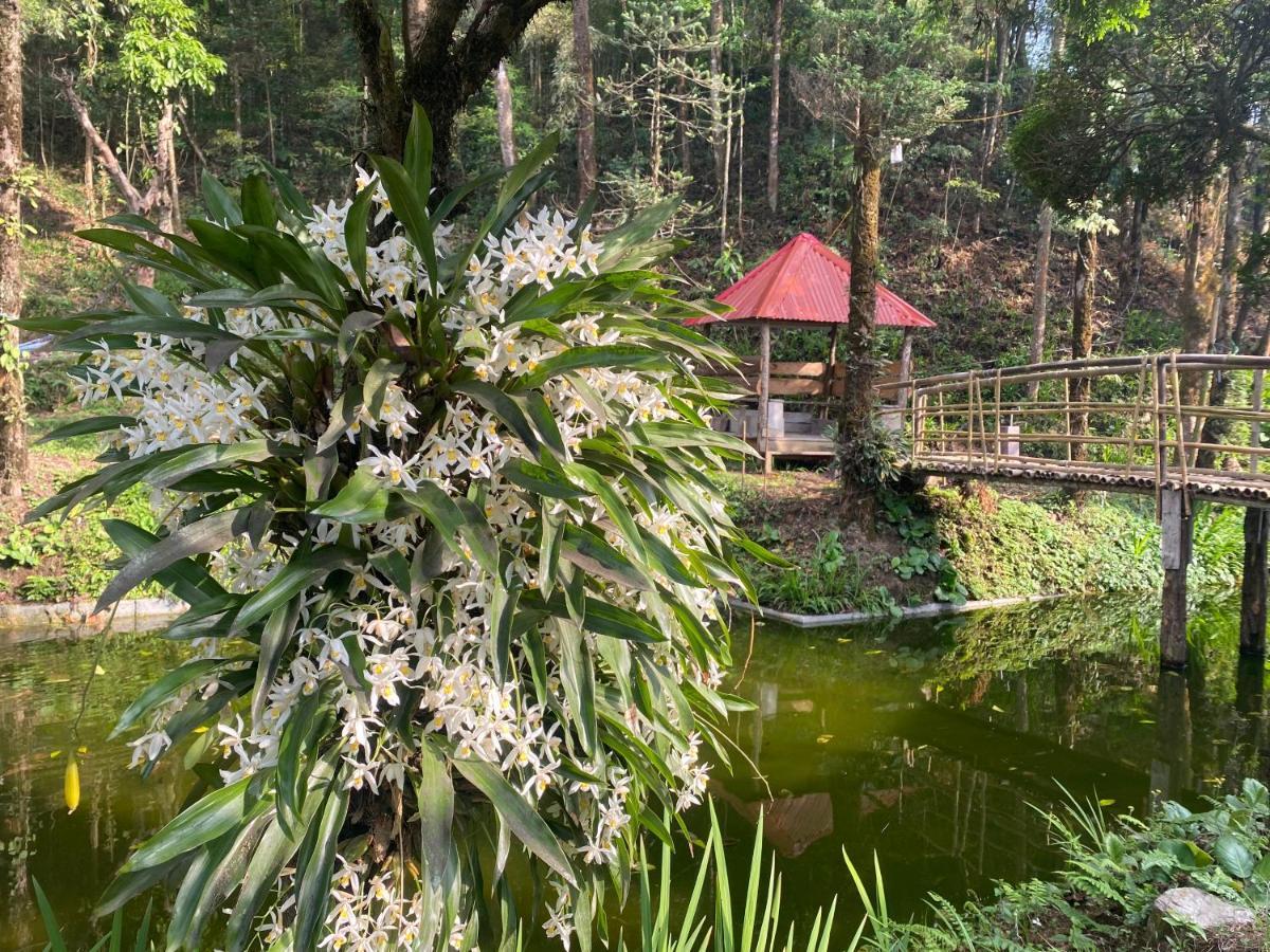 Bloomfield Farmhouse And Eco-Resort دارجيلنغ المظهر الخارجي الصورة