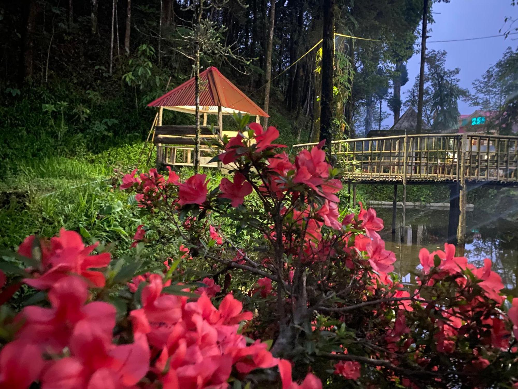 Bloomfield Farmhouse And Eco-Resort دارجيلنغ المظهر الخارجي الصورة