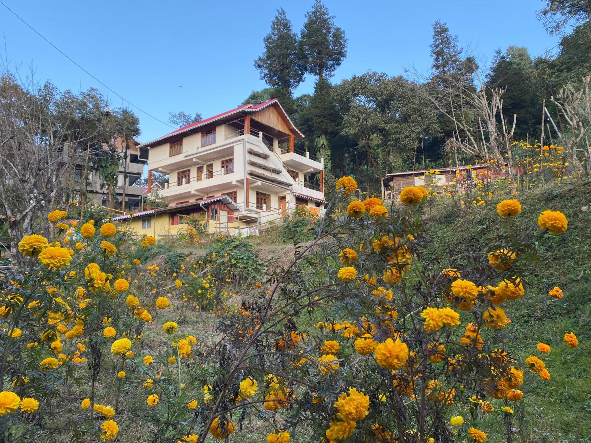 Bloomfield Farmhouse And Eco-Resort دارجيلنغ المظهر الخارجي الصورة
